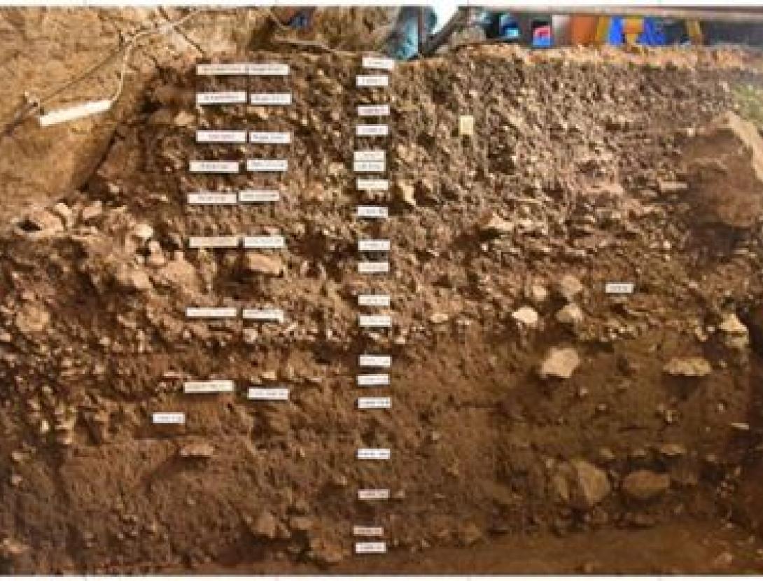 Visita la Cova de Can Sadurní