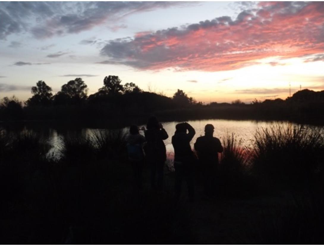 EL CREPUSCLE AL DELTA