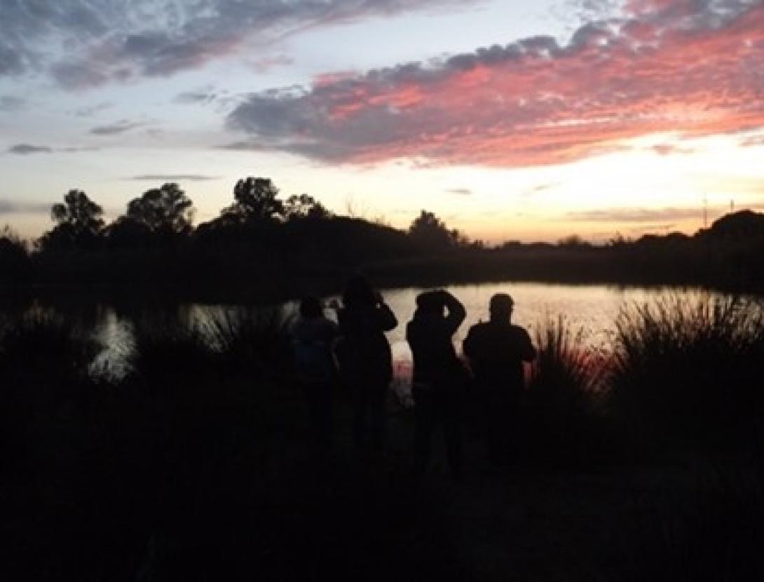 El Crepuscle al Delta