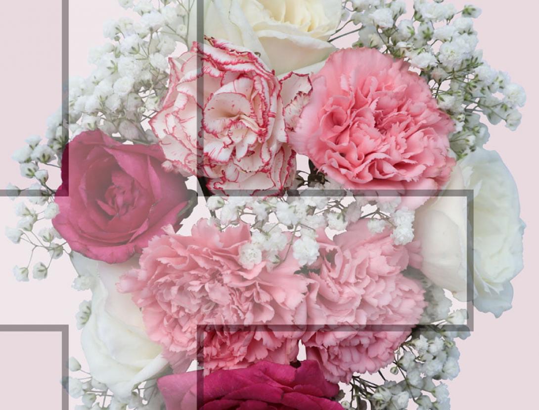 39ª edició de la Cruz de Mayo