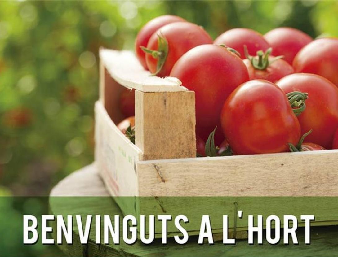 Curs el Jardí i Hort ecològic