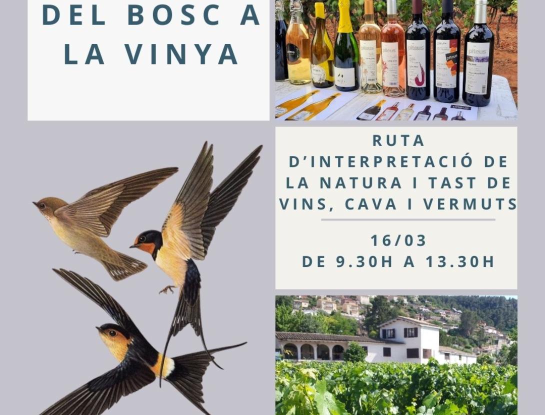 Del Bosc a la Vinya: Ruta d’interpretació de la natura i tast de vins