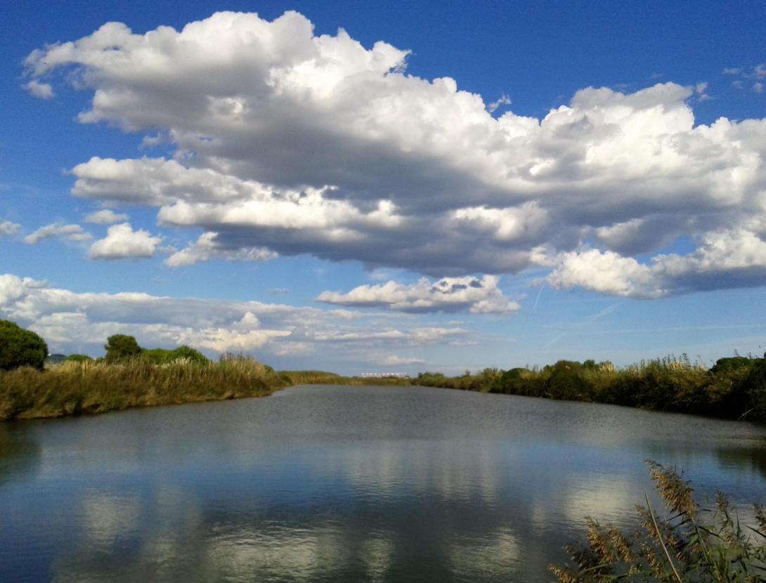 Descoberta del Delta del Llobregat