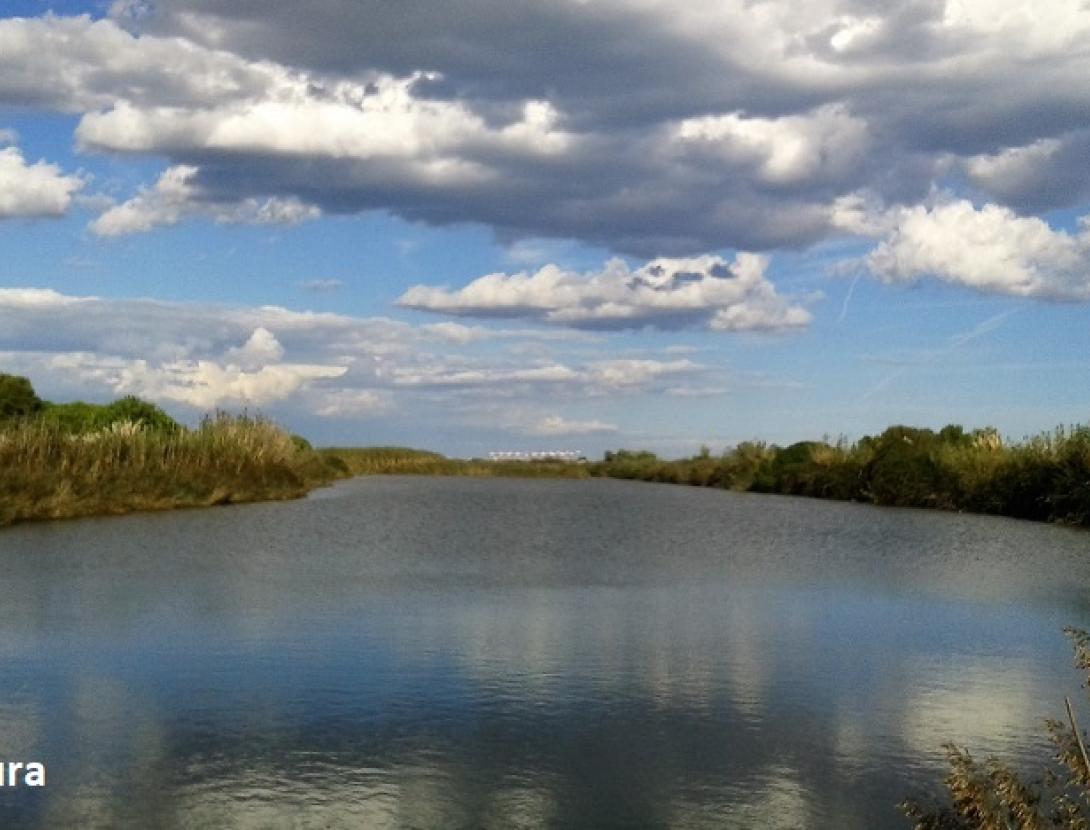 Descoberta del Delta del Llobregat