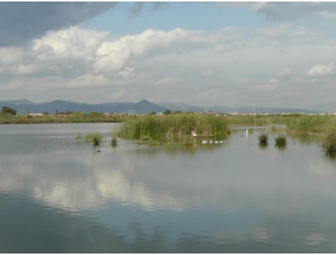 Dia Mundial dels Ocells als Espais Naturals del Riu