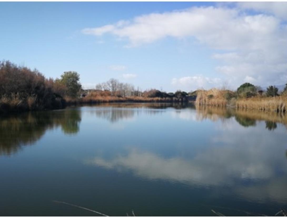 Dia Mundial dels Ocells a l’Espai Natural del Remolar-Filipines