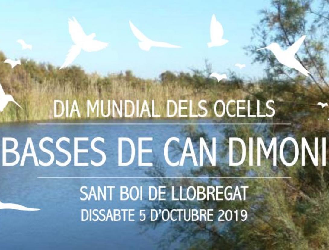 DIA MUNDIAL DELS OCELLS. BASSES DE CAN DIMONI