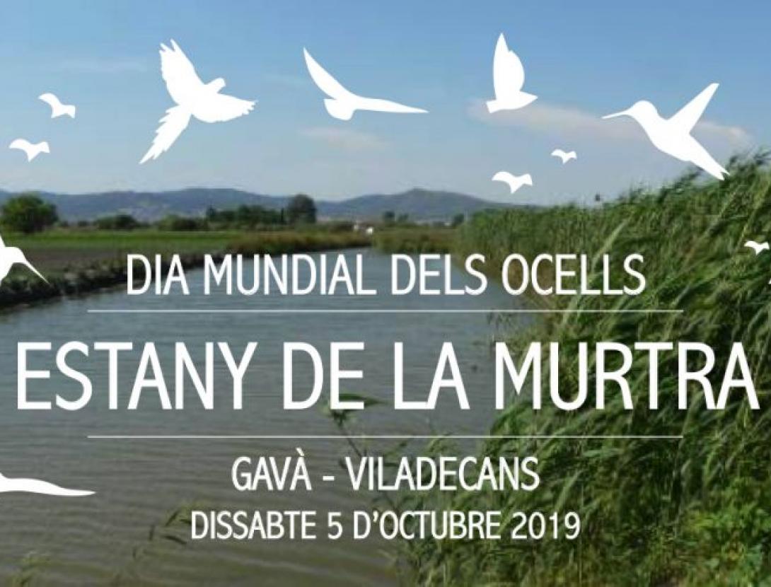DIA MUNDIAL DELS OCELLS. ESTANY DE LA MURTRA
