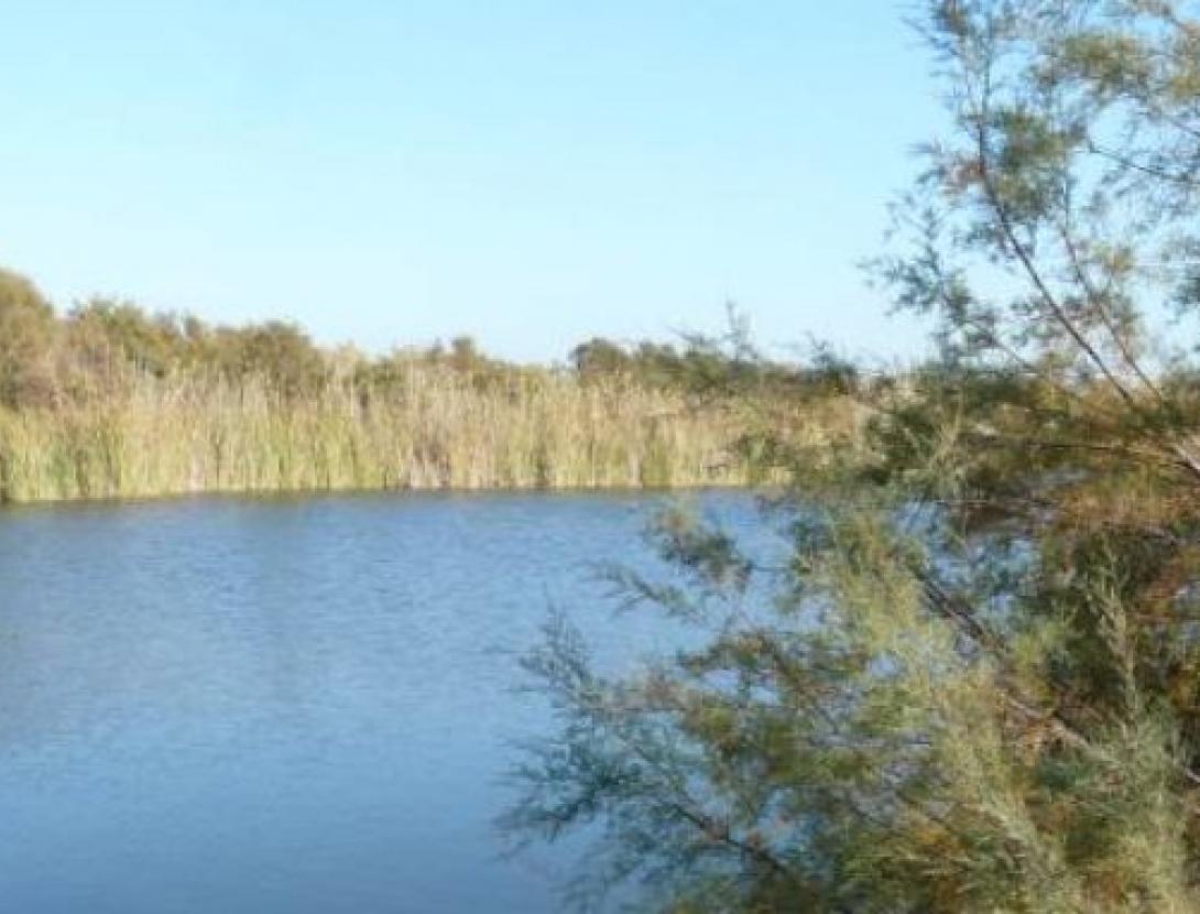 Dia mundial ocells Can Dimoni