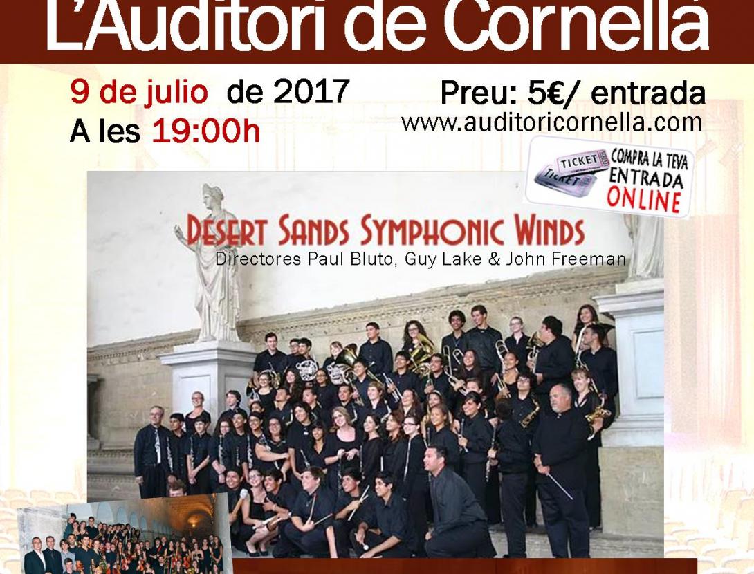 DS en Sant Cugat poster.jpg