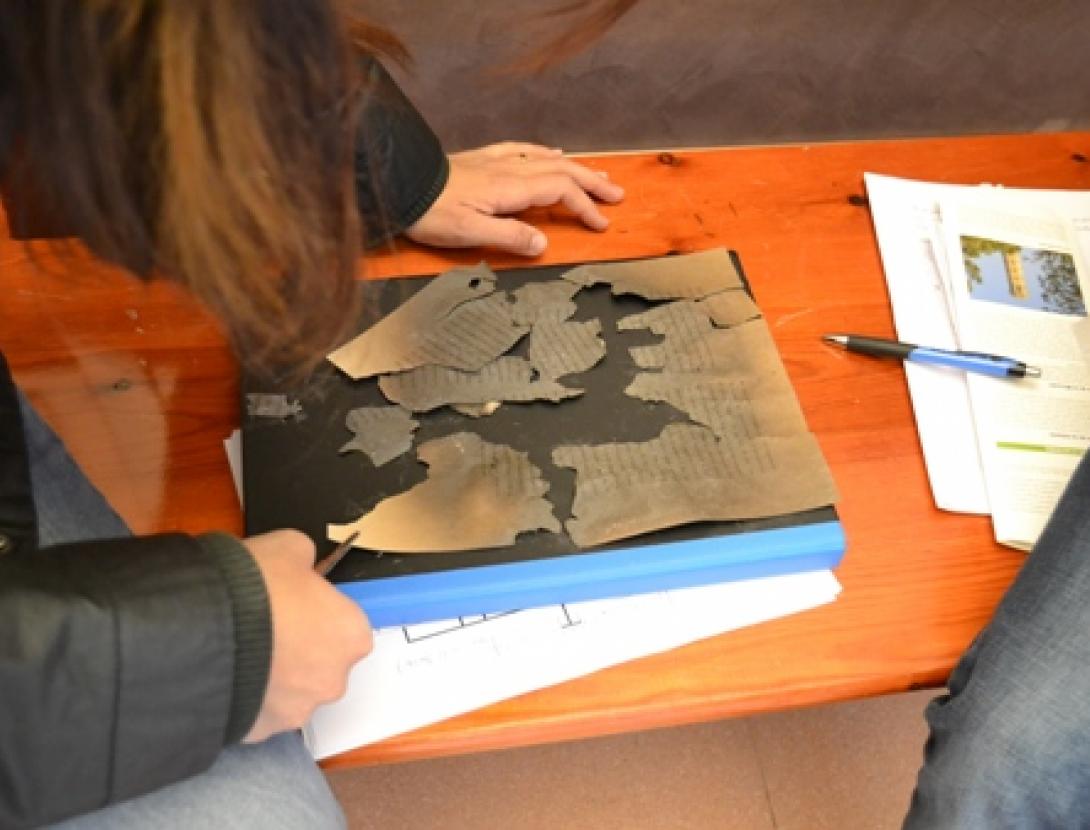 DSC_0406 dipu refent paper.jpg