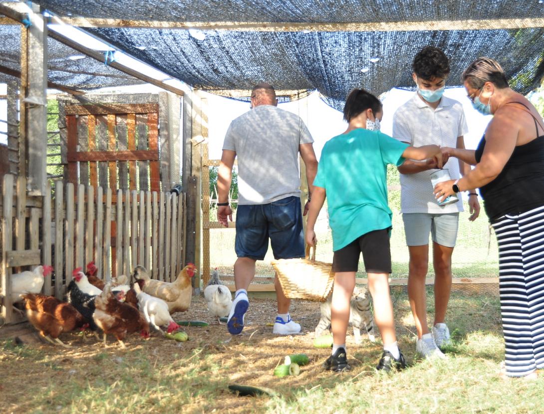 Les gallines camperes de l'Espai Agroambiental