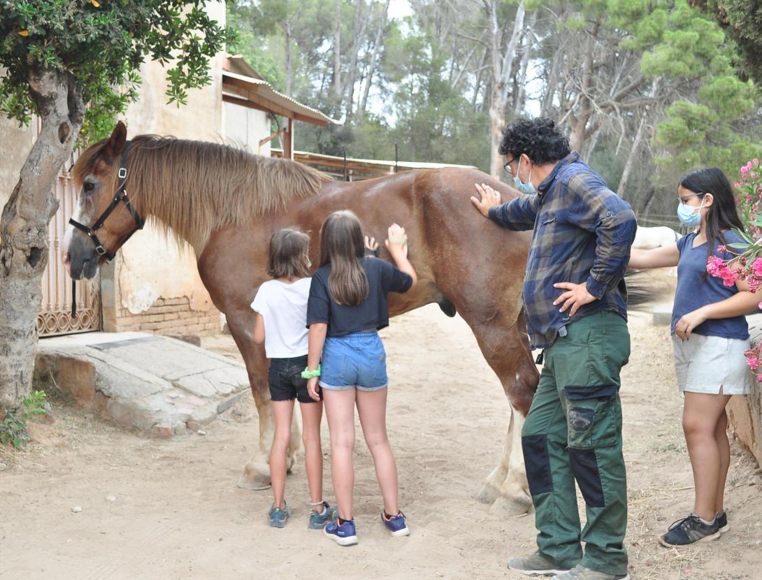PELS BOSCOS DEL BAIX EN CARRUATGE