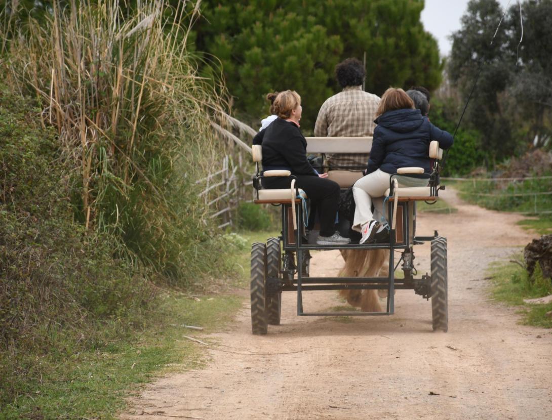 Matins i Capvespres a pagès