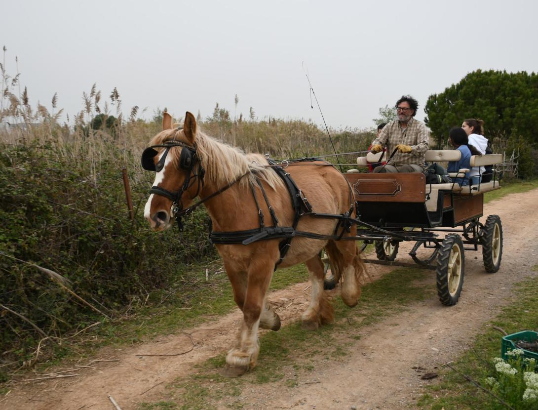 Matins i Capvespres a pagès