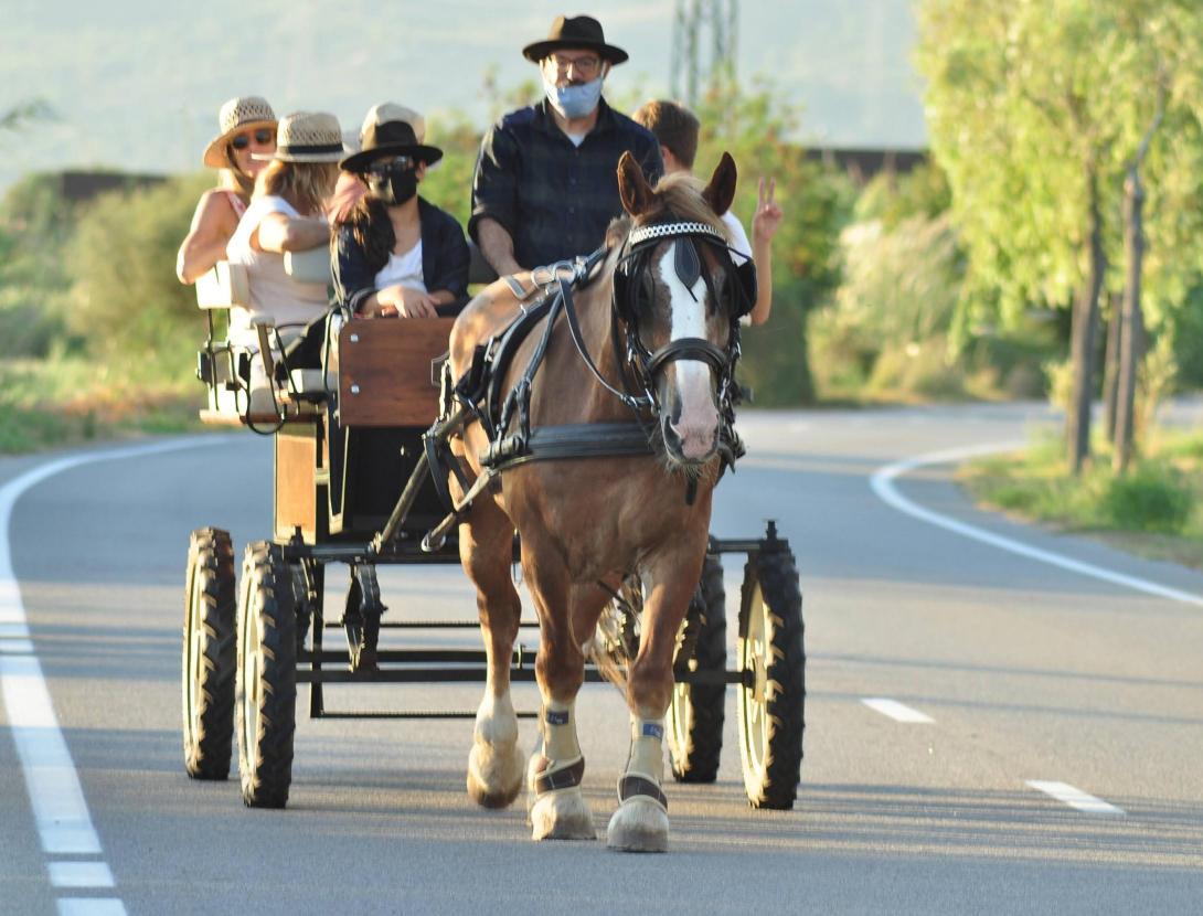 Matins i capvespres a pagès