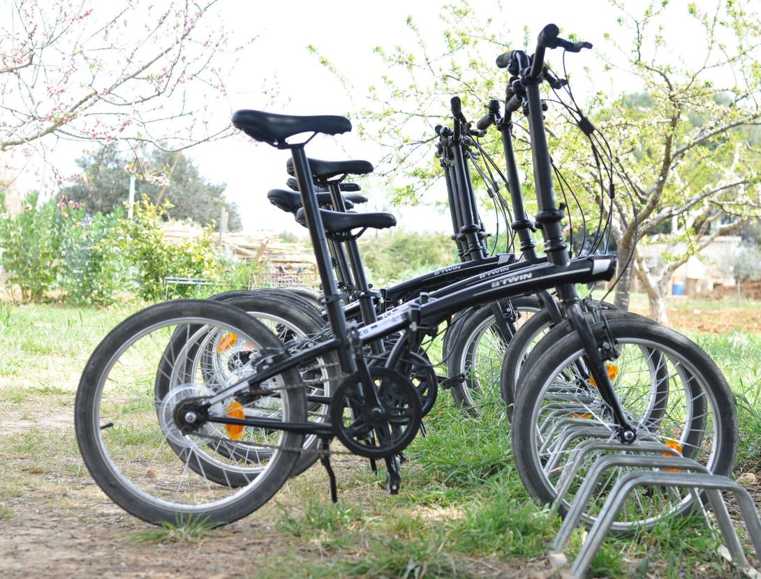 Descobrim el Delta en bici!