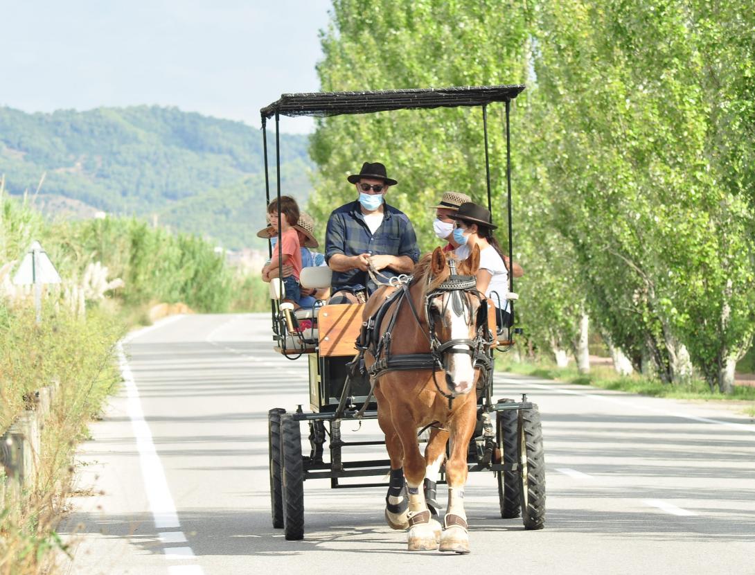 matins i capvespres a pagès