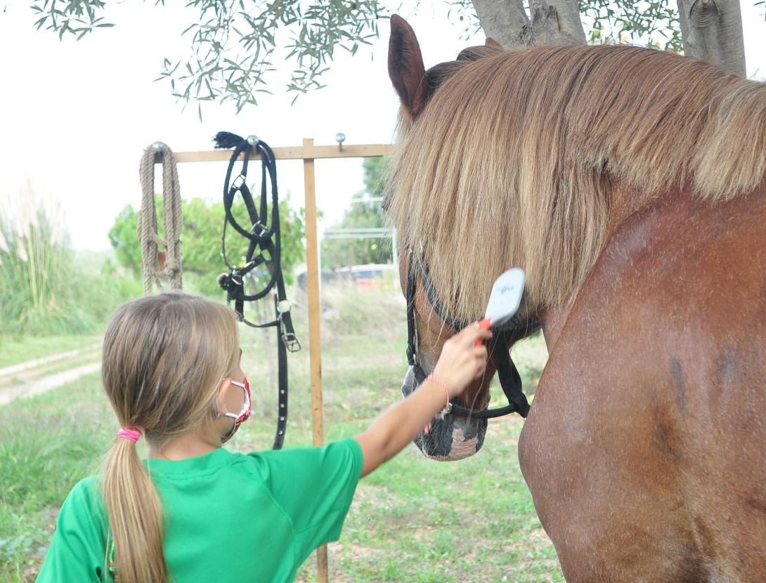 Posant bén guapo al Bruce