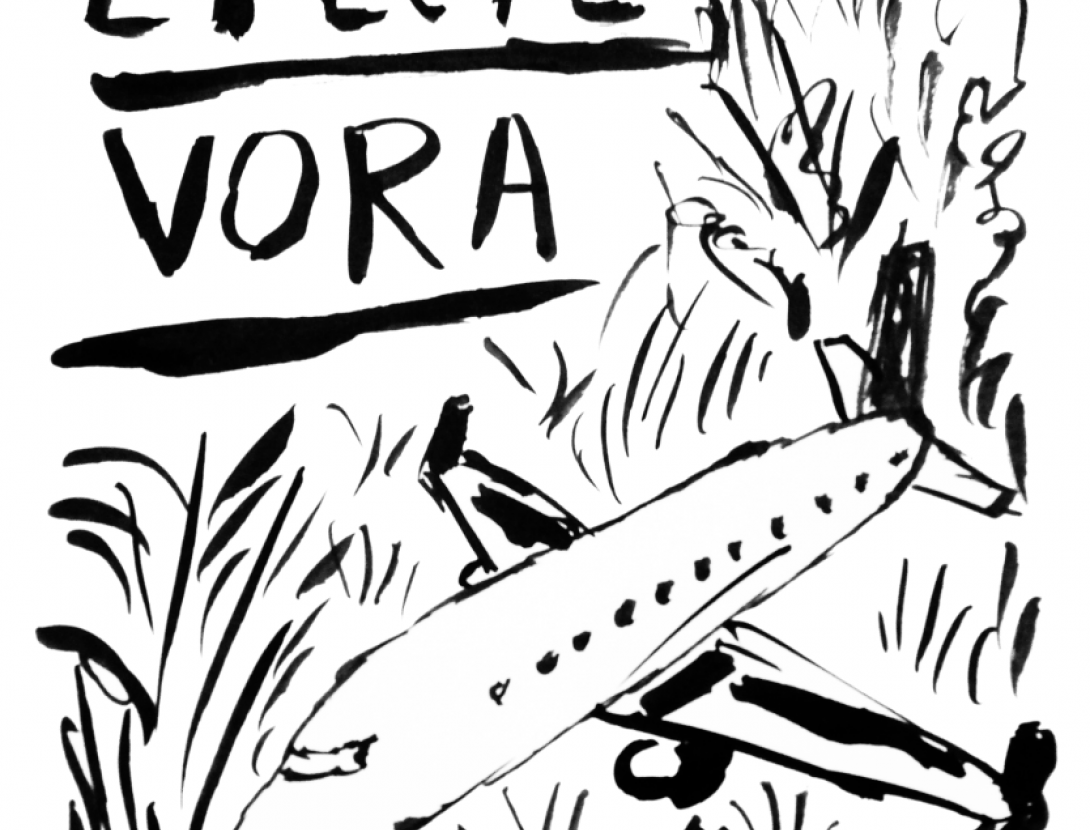 efecte vora_graf.png