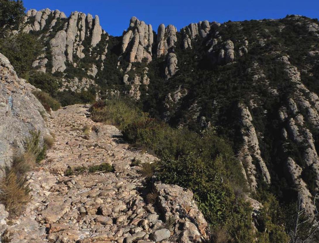 Camí de les Bateries