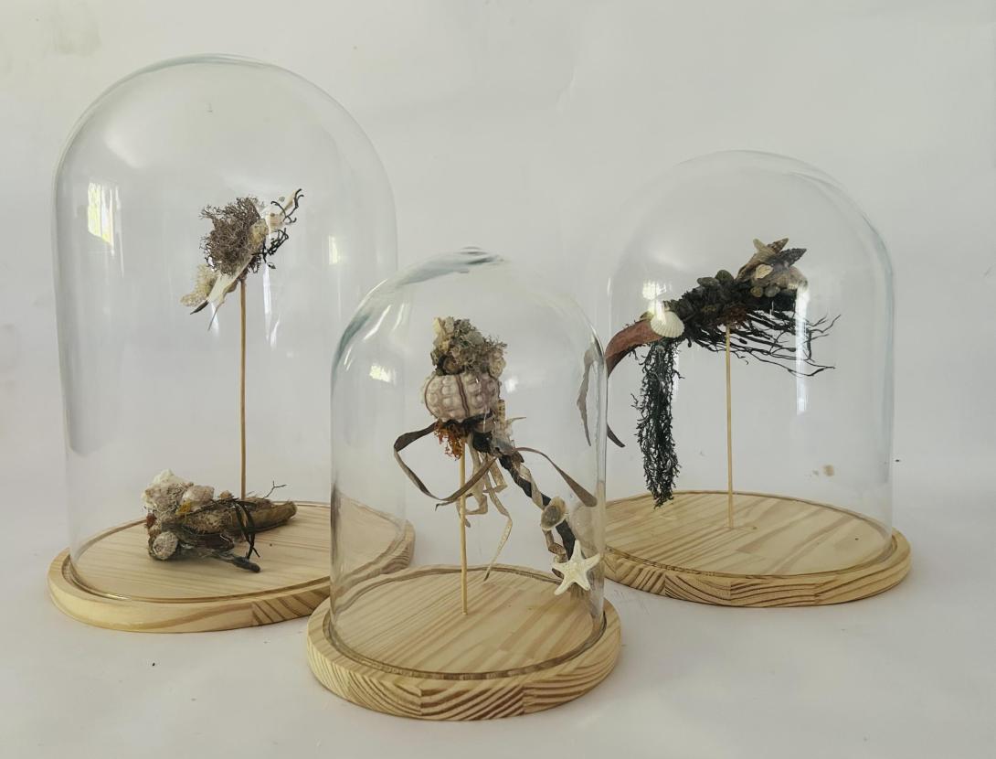 Inauguració de l'exposició "Melodies secretes del mar. Amélie Ducommun"