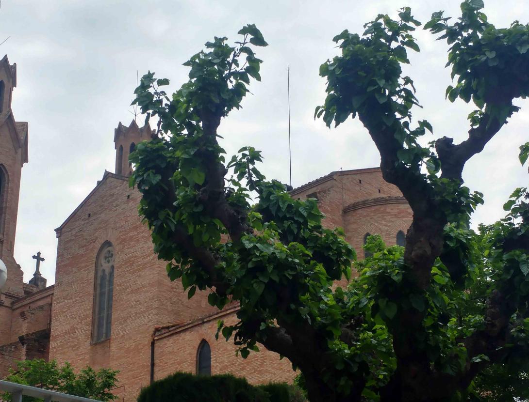 Sant Esteve Sesrovires_Tinta i Vi