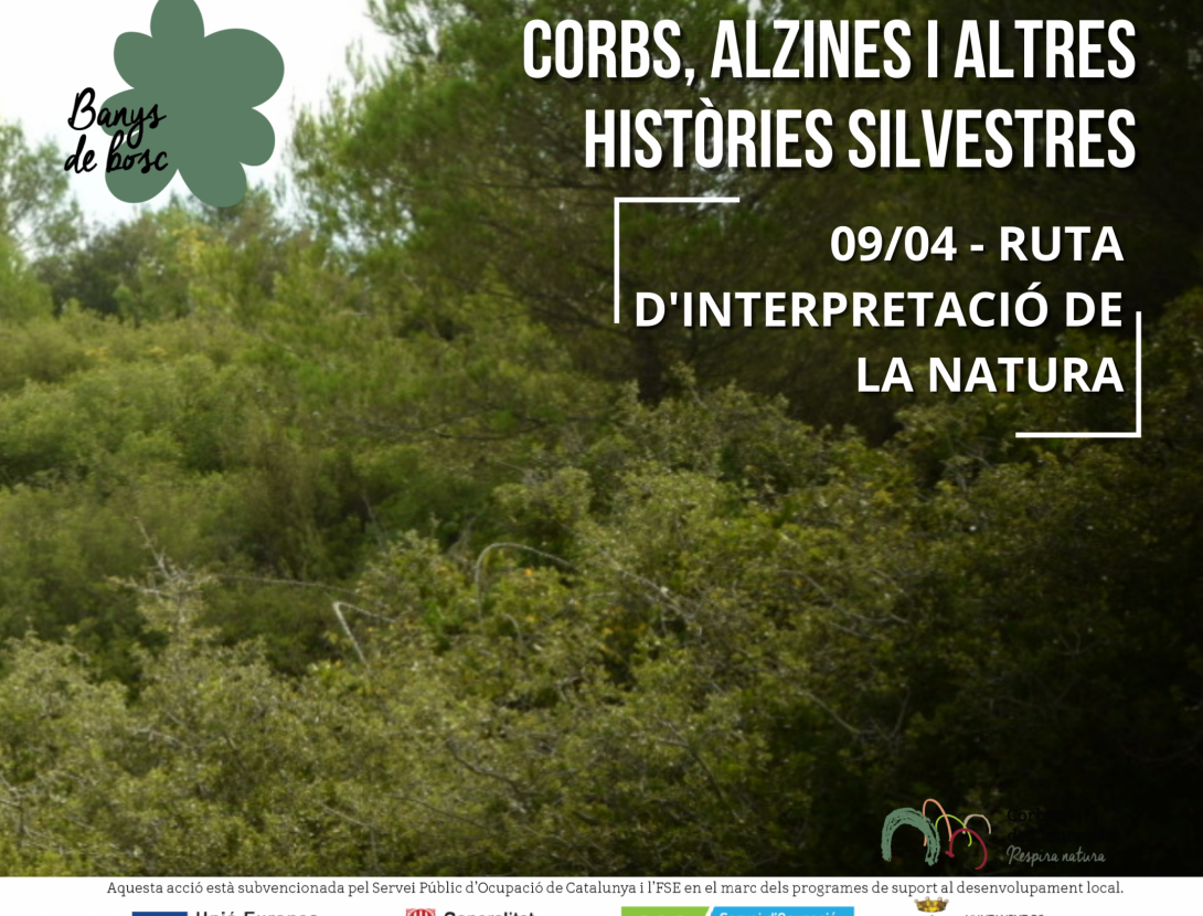 Banys de bosc – Corbs, alzines i altres històries silvestres