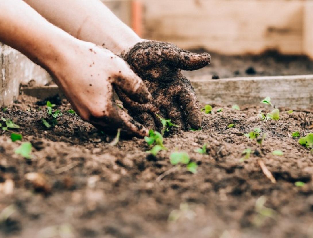JUGATECA DEL PARC NOU: ARRELA'T ALS PARCS-FEM DE JARDINERS