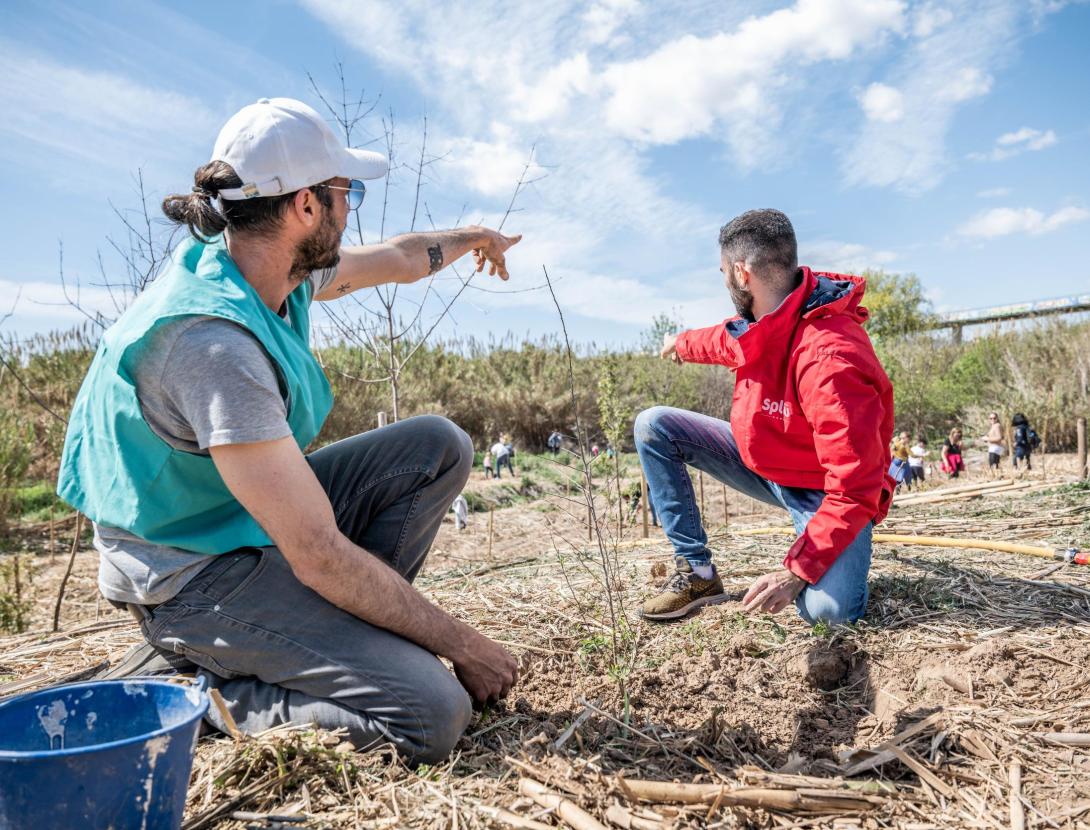 Plantació de 150 arbres amb Splau a la Festa del Riu de Cornellà