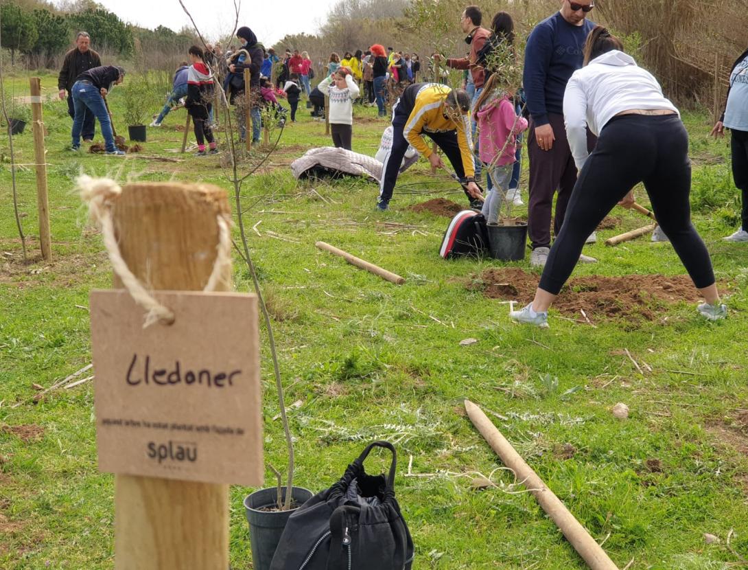 Splau col·labora en la 10a edició de la Festa del Riu amb activitats d’esport, natura i reforestació