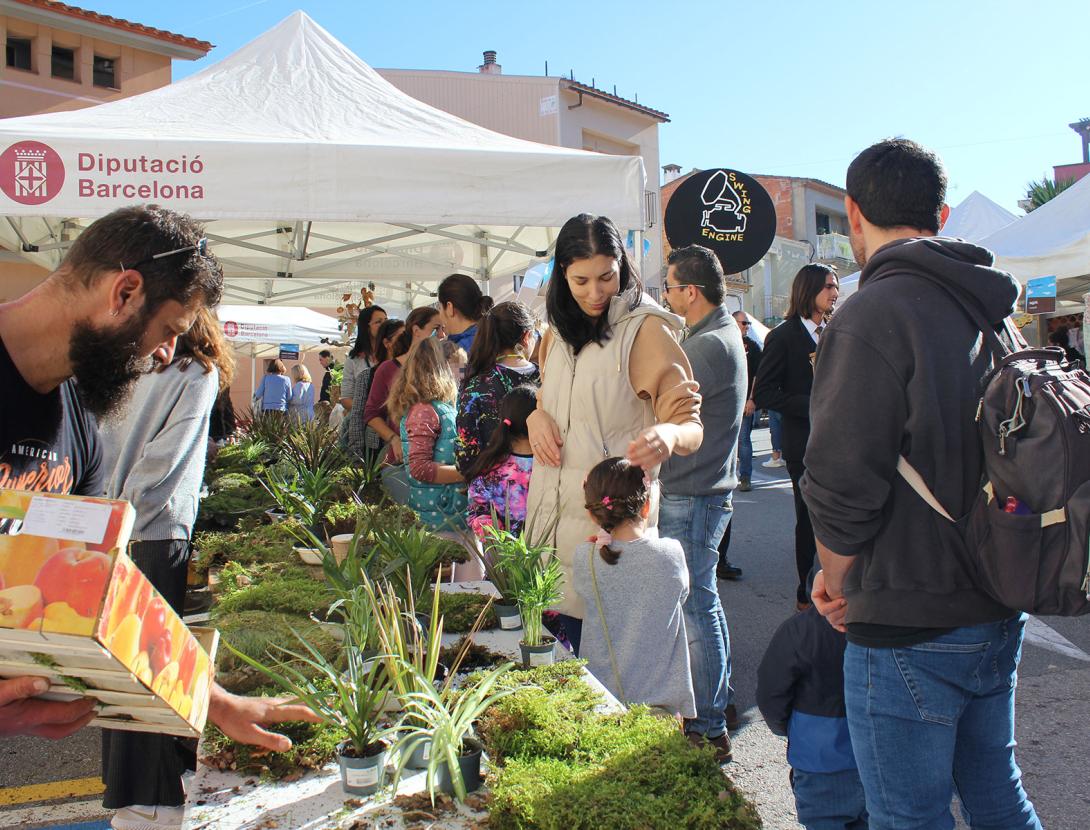4a Fira de la tardor de Castellví de Rosanes