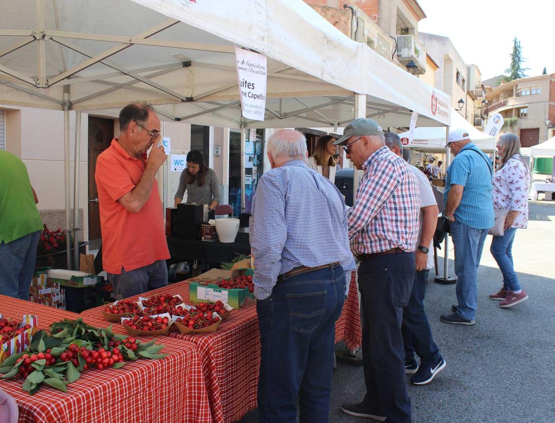 Festa Major de Castelvlí de Rosanes