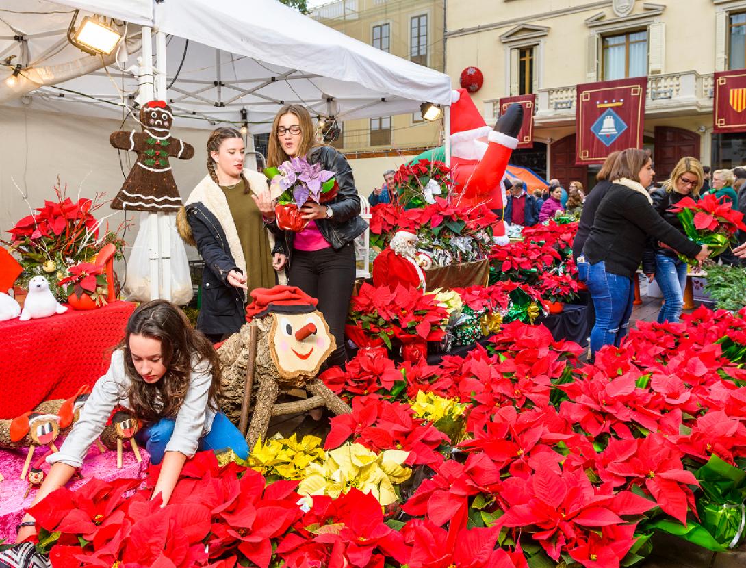 Fira Puríssima Sant Boi.jpg