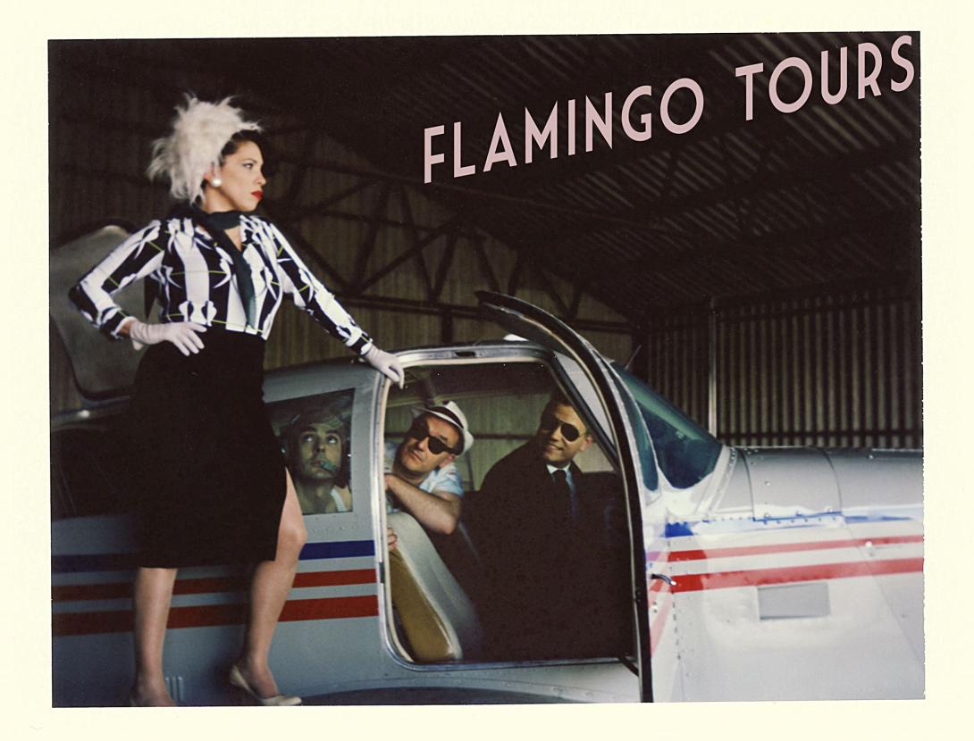 Flamingo_Tours.jpg