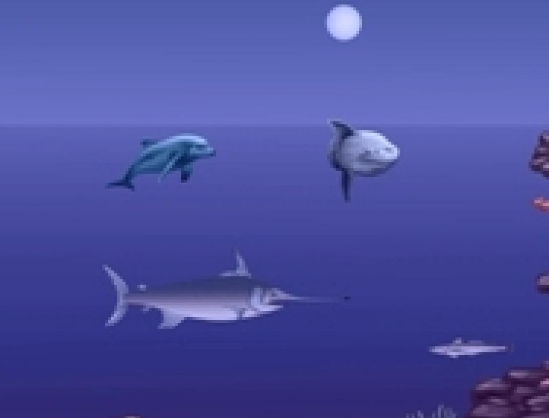 FONS DEL MAR - copia agenda tallat.jpg