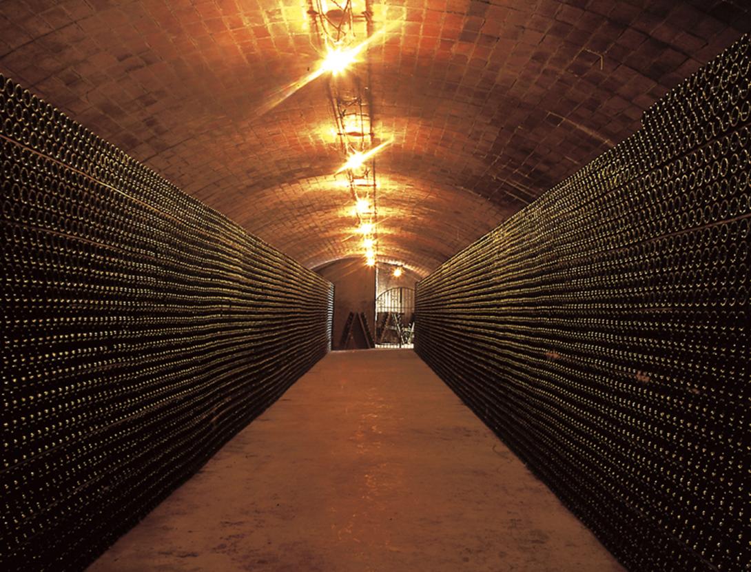VISITA AL CELLER I MUSEU DEL VI RAMON CANALS AMB DEGUSTACIÓ
