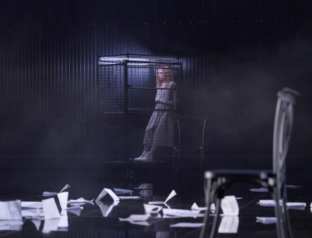 Terra baixa (Reconstrucció d'un crim)