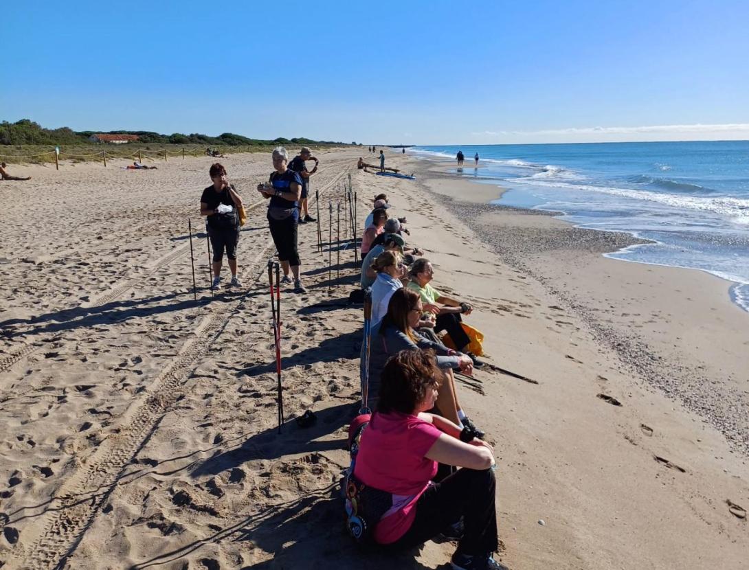 Respira Viladecans a pas de marxa. Sortida de marxa nòrdica fins a la Platja de la Pineda