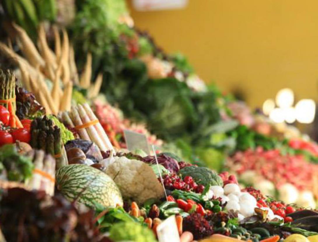 Foto Fira Espàrrecs Gava.jpg