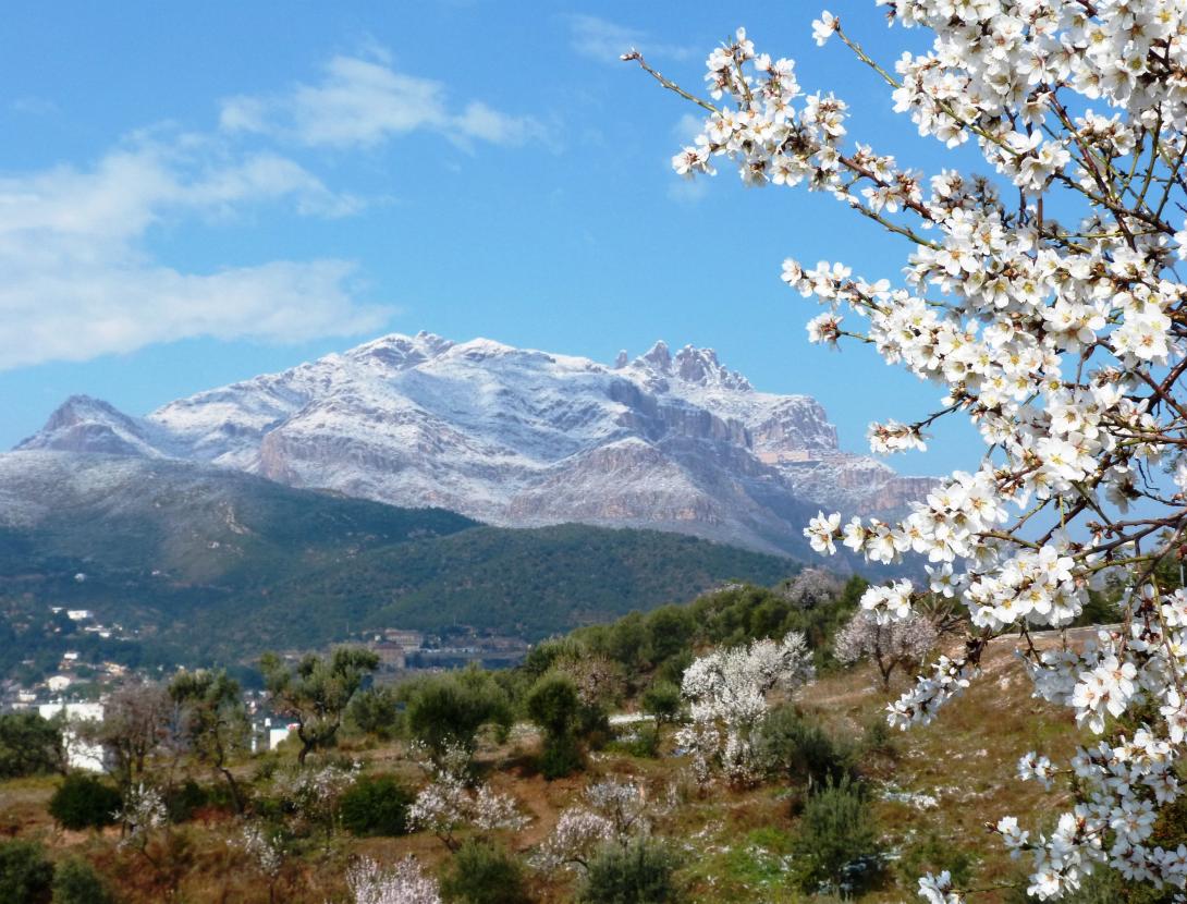 Foto Olesa neu-2.JPG