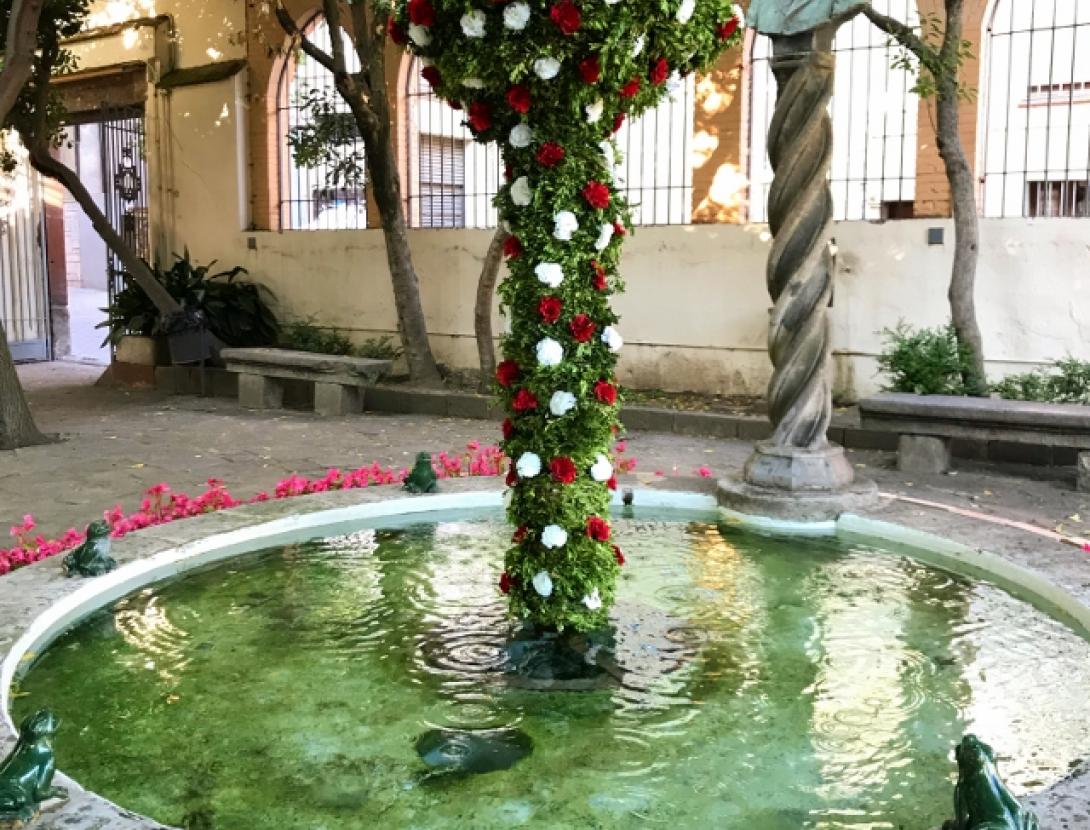 Ou com Balla al jardí de L'Enrajolada. Maig 2008