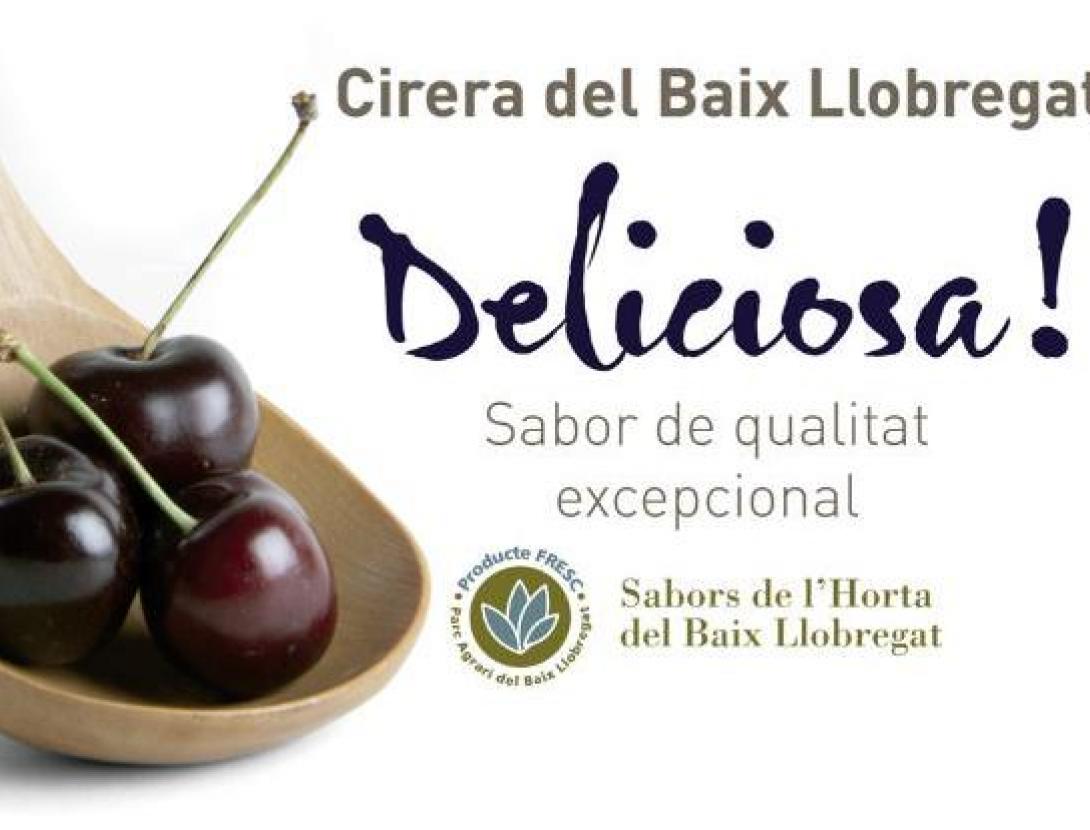 Foto portada Especial Cireres4.jpg