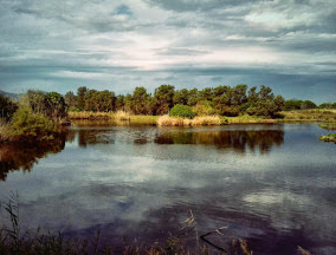 Descobrim el Delta en bici!