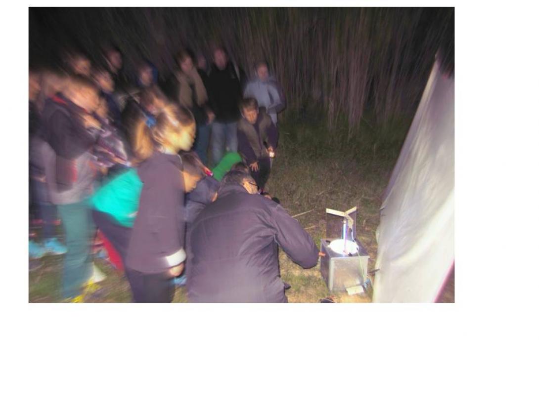 gimcana familiar nocturna.jpg