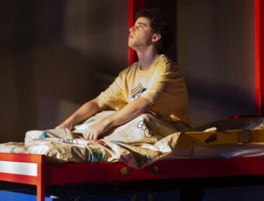 Espectaculo interactivo- LA METAMORFOSI DE GREGOR