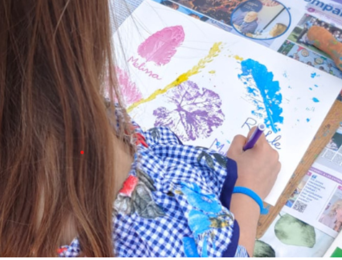 JUGATECA DEL PARC DEL RIU: HERBARI ARTÍSTIC