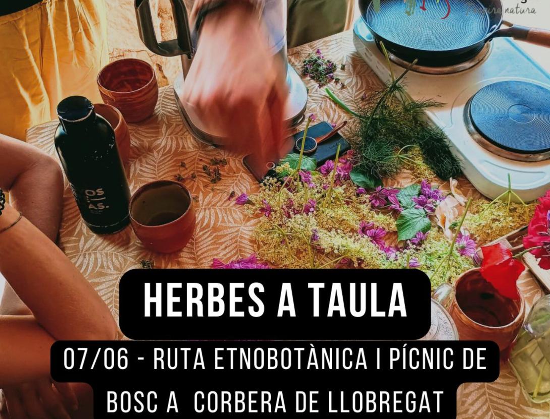 Herbes a Taula
