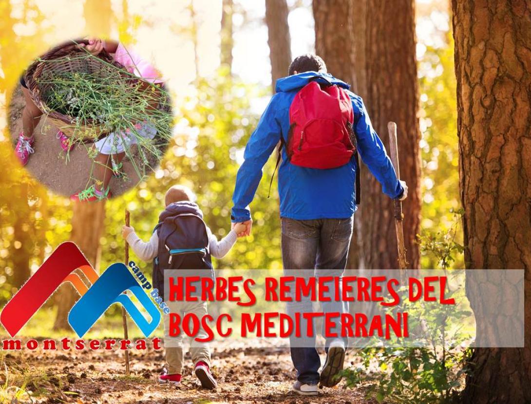 HERBES REMEIERES.jpg