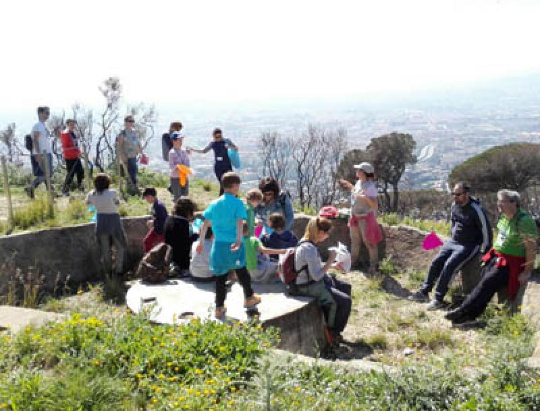 Les històries de Sant Pere Màrtir
